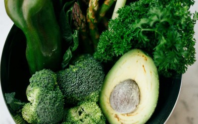 Microbiota en sobrepeso y obesidad.